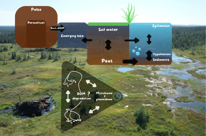 MicrobiomeJ's tweet photo. In #EnvironmentalMicrobiome

Microbiome and plasmidome shifts drive carbon, nitrogen, and greenhouse gas dynamics within transitioning permafrost🦠

Read more👉https://t.co/BwNgGCd8rL https://t.co/94nKzPfAv5