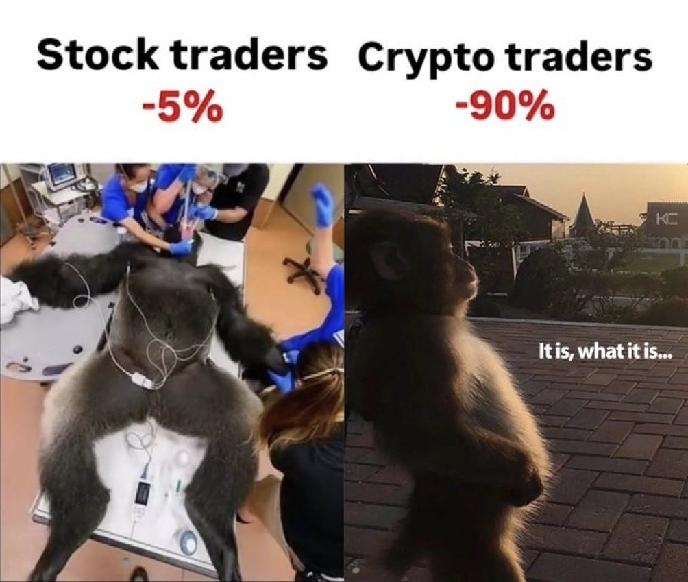 Manicdyor's tweet photo. True 😂 https://t.co/UNtYIwfYpj