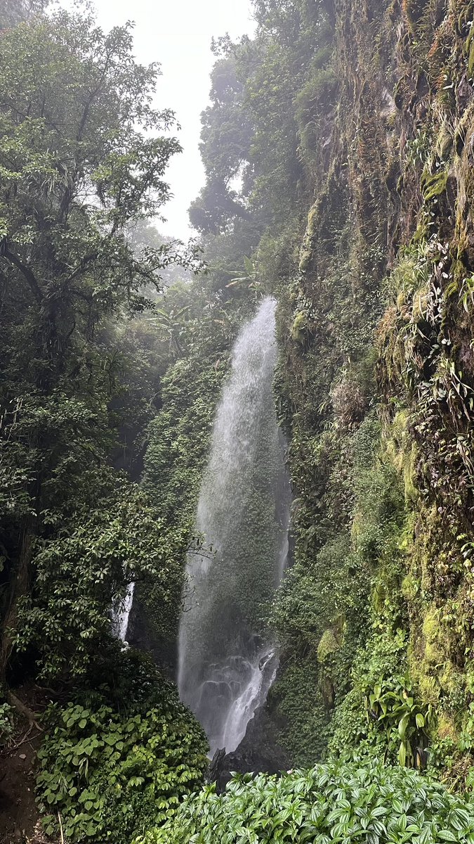 OdeOracle's tweet photo. cw // rl

ini namanya curug https://t.co/G83vSshdsv