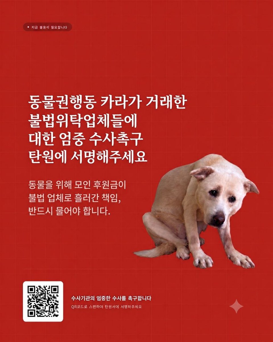 yeokbo's tweet photo. 카라 불법 위탁처 엄중 수사 서명을 받고있는데 서명이 기대보다 저조합니다.
서명 아직 못하셨다면 서명 꼭 부탁드립니다.

https://t.co/YaPOKJk7LM https://t.co/N8WEYCktOw