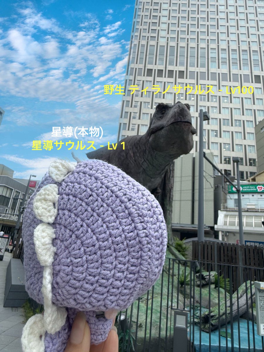 更紗 tweet media