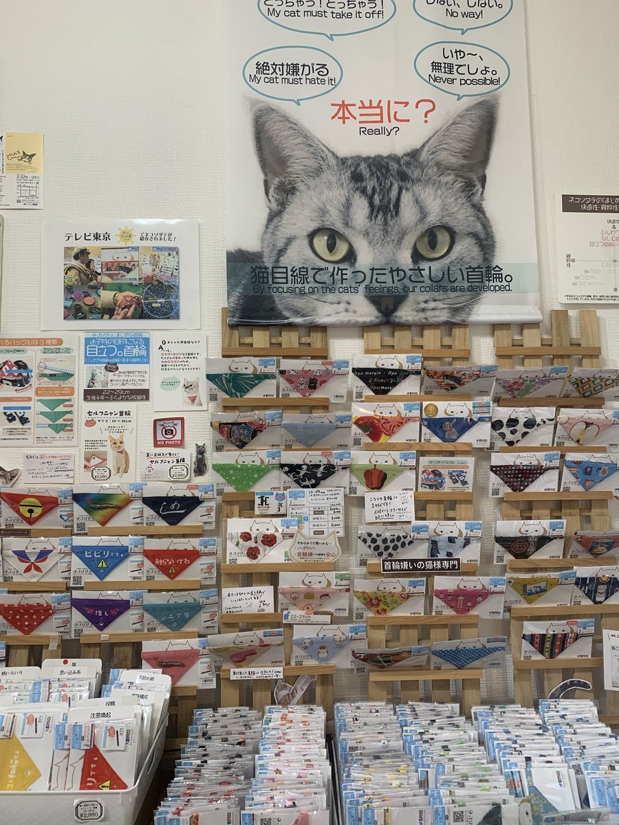 ネコソダテ公式★徹底して猫に誠実★日本で唯一のまじめな首輪®専門店 tweet media