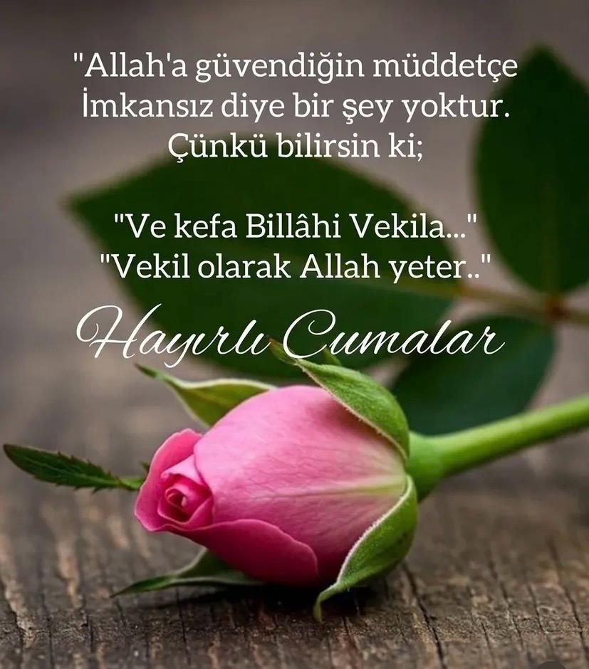 Mustafa28090354's tweet photo. @Filiz_Ebe https://t.co/3FK2pFqjmT