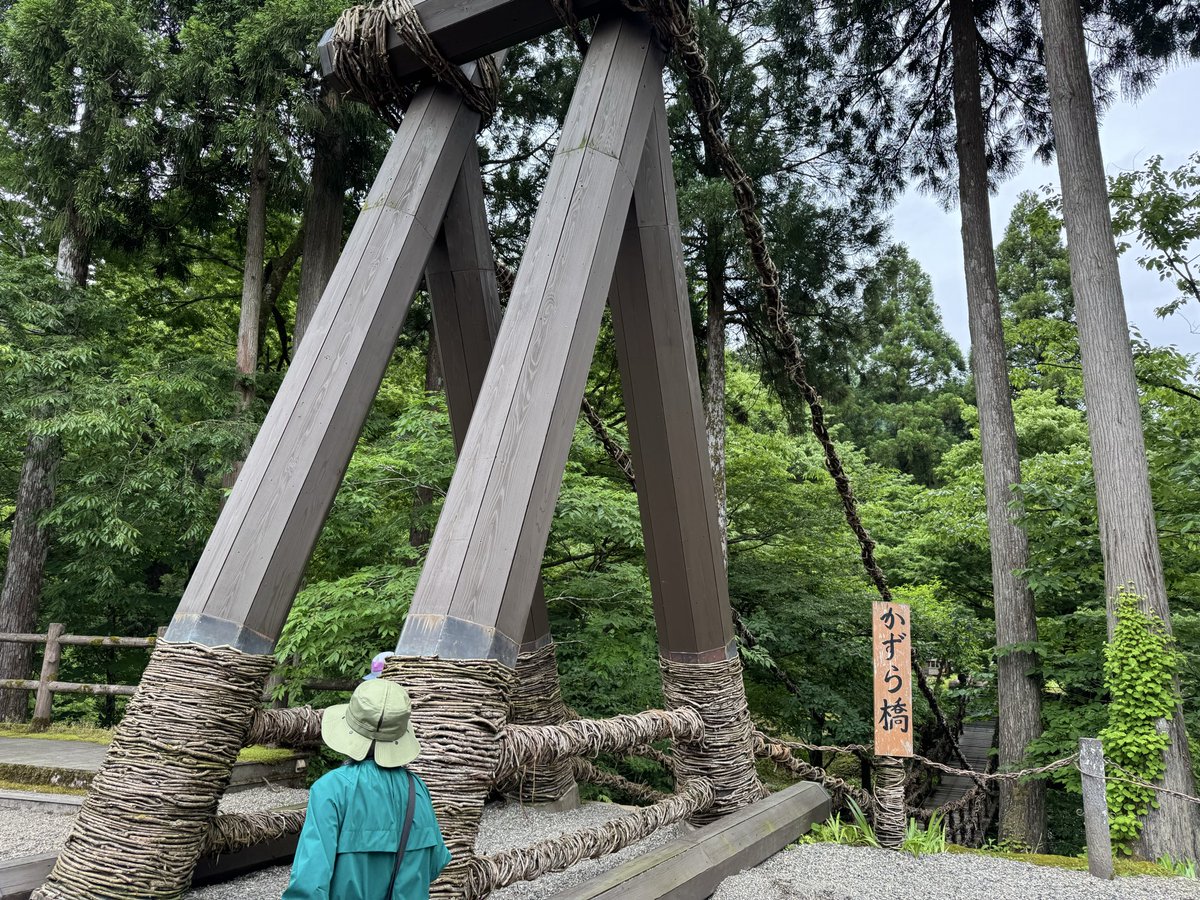Cocoabe113's tweet photo. 福井のかずら橋

徳島 祖谷のかずら橋に作り方教えてもらってできたそうな

長さ44m 川からの高さ12mらしいけど、体感では長さ80mくらいあった……ちょーこぇえw

すごく楽しかったですw
こぇえw https://t.co/canEZxybAc