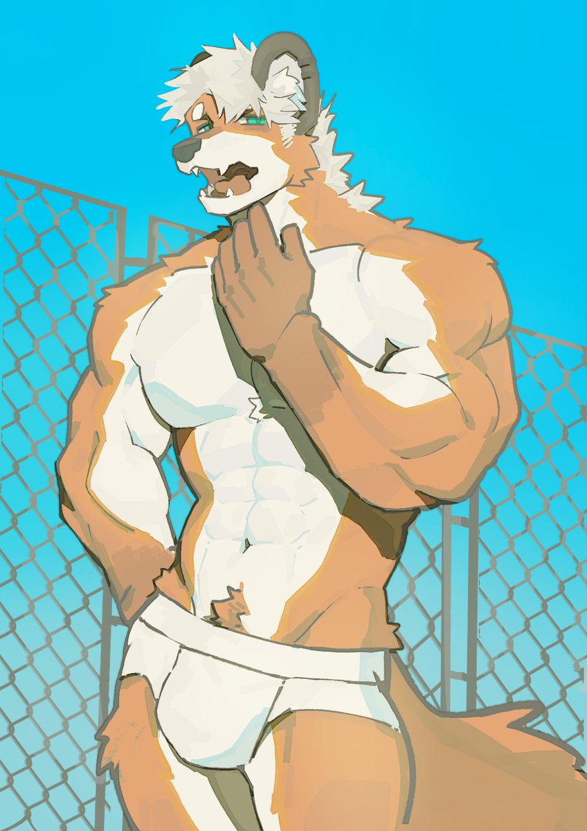Zbyyyyy175140's tweet photo. https://t.co/gi6E7Sv28t