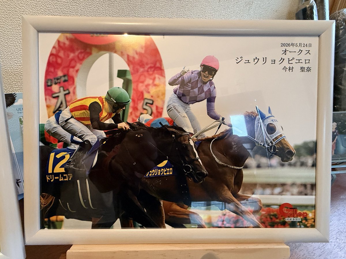 umaemon_123's tweet photo. お疲れ様です🍵

我が家の玄関に来た〜🏇

なんと嫁ちゃんがギャロップさんの
コンビニプリント？で
ロブチェン＆ジュウリョクピエロ
飾ってくれた😍
まだ未完成らしいけど既に玄関で一杯やれる🍶🍺
各社でアングル違うから全部欲しい😆

#ロブチェン #ジュウリョクピエロ #競馬 https://t.co/LSnALocqN1