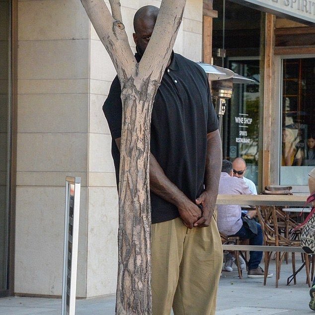 LoLowlights's tweet photo. No way KD tried to hide in a bush like this I’m crying 😂😂😂 https://t.co/4uJizPcM46