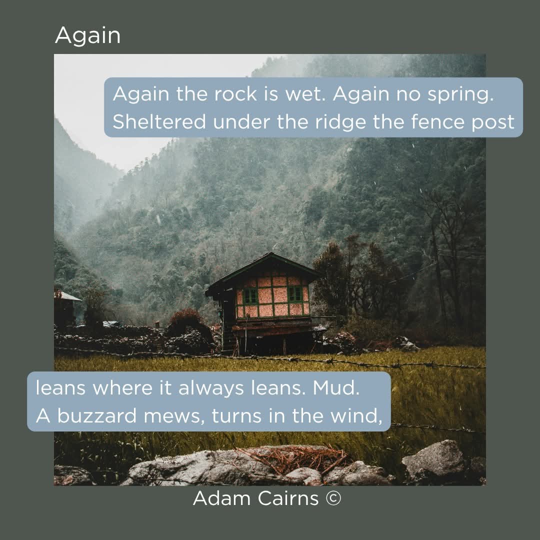 InkSweatTears's tweet photo. 'Again' by @adamcairnspoet beautifully and intimately traces the landscape looking for signs. In this poem everything in the countryside seems to take on qualities of the spring that the speaker is trying to find.
 https://t.co/DIaIHYFKJZ

#InkSweatandTears #Poetry #Landscape https://t.co/jDt2GG1rqJ