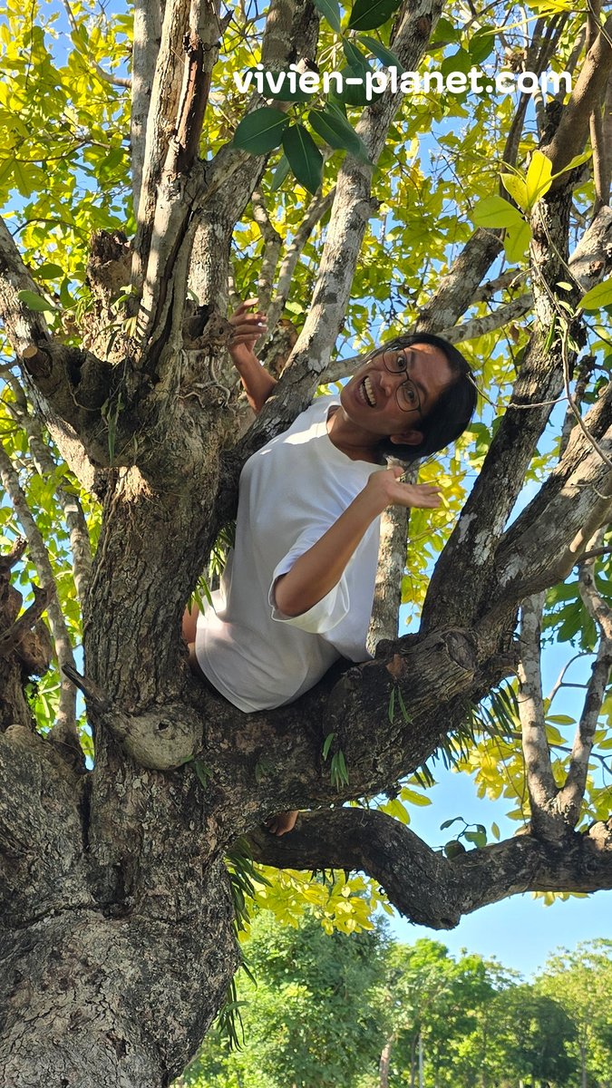 vivien_planet's tweet photo. Following my cat up the tree... Day 1 of my new workout routine: Feline-Induced Cardio. Highly intense, zero warm-up, and 100% chance of getting stuck in a tree.
#CatLogic #CatsOfInstagram #TreeClimbingCat #Meowed #TikTokCats #FunnyPets #บ้านสวน #ธรรมชาติ https://t.co/JNSwd9Mgng