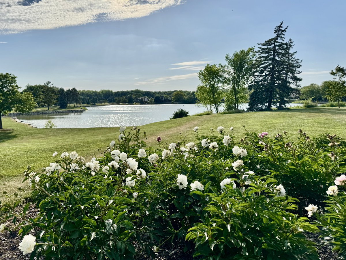 MichaelHeimlich's tweet photo. Lake water sunshine reflections-partly sunny-blue sky-clouds-flowers-trees-grass 5:45pm June 4 2026 Wood Oaks Green Park-Northbrook Illinois USA -Editorial Use Permission w/Credit: Michael Heimlich @MichaelHeimlich; #Lake #Sunshine #Flowers #Trees #wx #ILwx @NWSChicago #StormHour https://t.co/YGX9DiYvIg