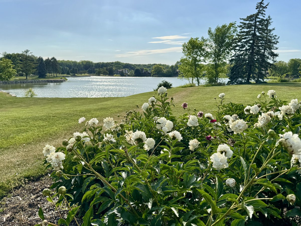 MichaelHeimlich's tweet photo. Lake water sunshine reflections-partly sunny-blue sky-clouds-flowers-trees-grass 5:45pm June 4 2026 Wood Oaks Green Park-Northbrook Illinois USA -Editorial Use Permission w/Credit: Michael Heimlich @MichaelHeimlich; #Lake #Sunshine #Flowers #Trees #wx #ILwx @NWSChicago #StormHour https://t.co/YGX9DiYvIg