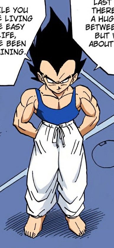 vegeta_daily's tweet photo. https://t.co/sUV7VriFRl
