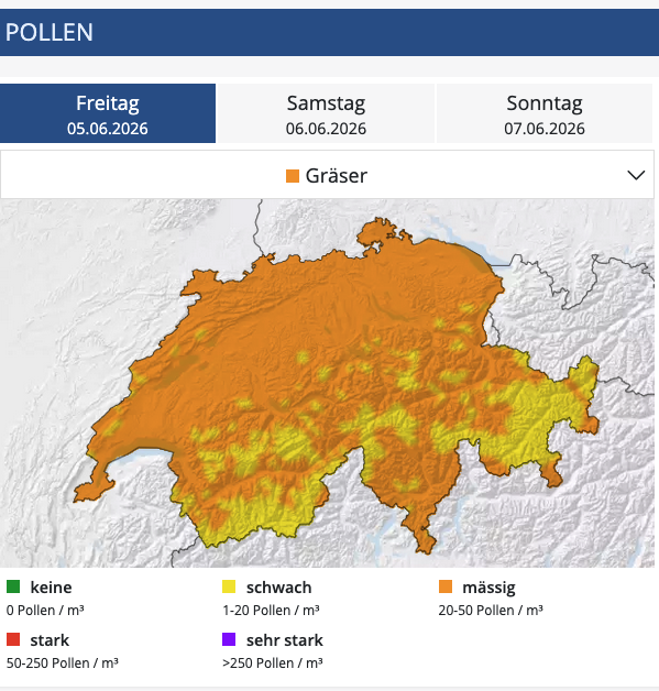 MeteoNewsAG's tweet photo. Die #Pollensaison ist schon weit fortgeschritten, wobei aktuell #Gräser vorherrschen. Dazu kommen momentan auch noch Ampfer, Wegerich und Brennnessel. Baumpollen sind mit Ausnahmen nur noch wenige in der Luft. Details zur aktuellen Pollensituation: https://t.co/2NLBr1QhPi (rp) https://t.co/QE6cHOxuup