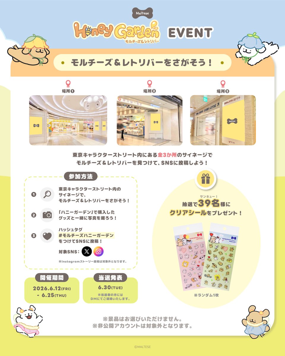 モルチーズ【公式】 tweet media