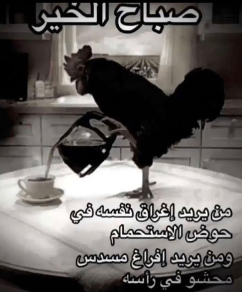 jijisblaze's tweet photo. امس كنت بطلب من كولور بوب وعادي كانوا يوصلون للسعودية بس قلت لا خل اخلص فاينلز بعدين اطلب، اليوم شيكت وما عاد صاروا يوصلون مباشر https://t.co/I3LBXp4jEL