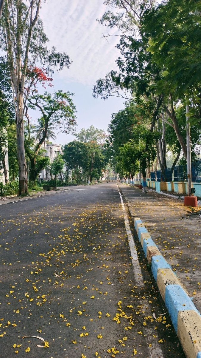 NVIPtz's tweet photo. Would you like to visit? https://t.co/xfk4yYp4zm