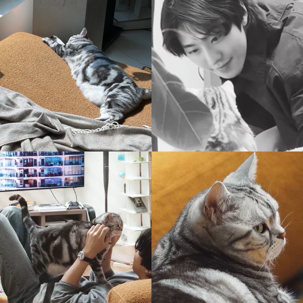 ucupseje's tweet photo. Capek banget yang lagi syuting iklan Samsung bareng Appa 😃 https://t.co/oidOpK4WlY