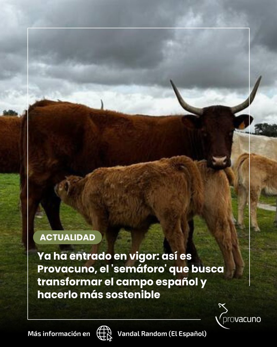 Provacuno's tweet photo. 📣 𝐀𝐂𝐓𝐔𝐀𝐋𝐈𝐃𝐀𝐃 | Así es “Huella Vacuno Sostenible” de @Provacuno, la herramienta gratuita y voluntaria que busca transformar el campo español y hacerlo más sostenible.

🌐 Leer artículo completo ➡️ vía @VandalOnline
https://t.co/wycSaRdpgy https://t.co/b0SOSjFa38