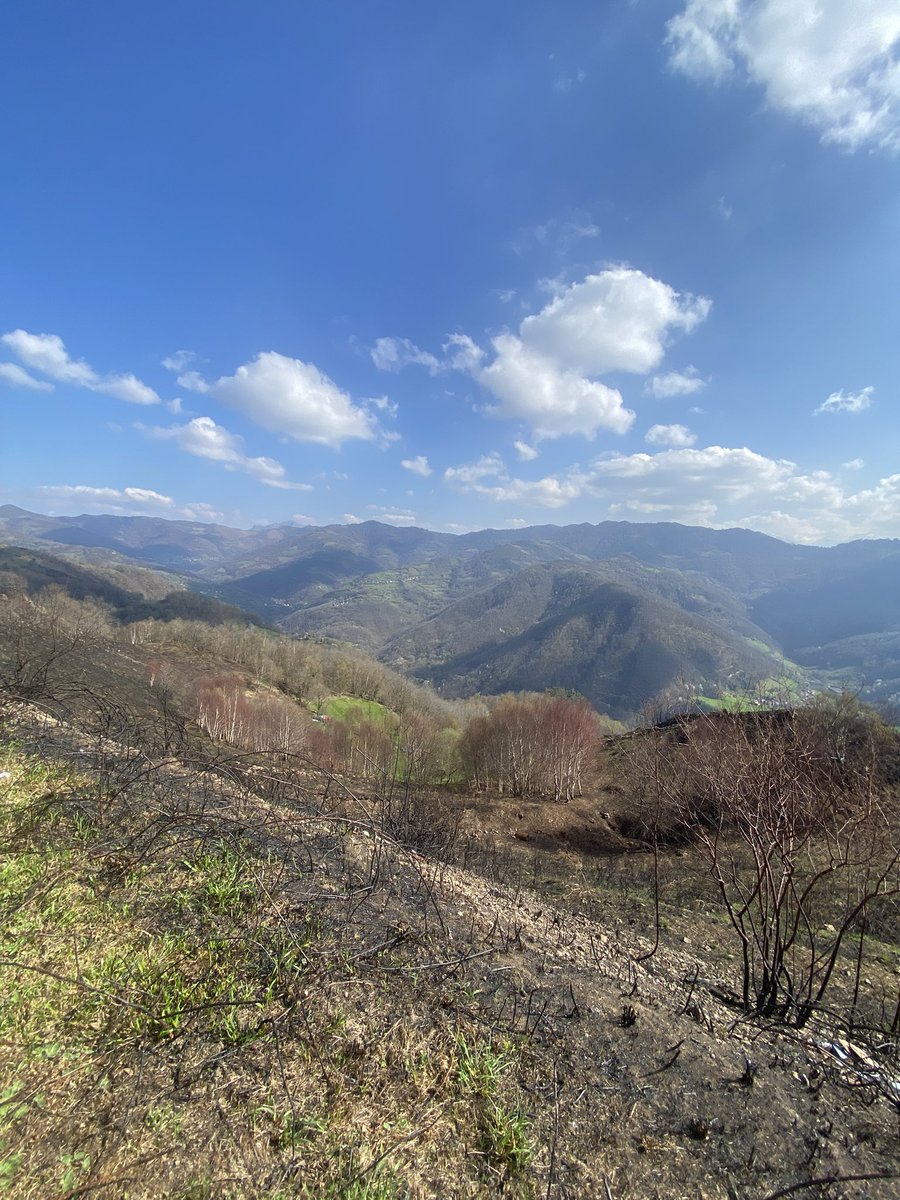 Smarterrae's tweet photo. Protegerlo exige conocimiento, responsabilidad y acción colectiva. Desde la #investigación, la #gestióndelterritorio y la #educaciónambiental, cada decisión cuenta para conservar los #ecosistemas y avanzar hacia una relación equilibrada con la #naturaleza. https://t.co/wuUGsmoAts