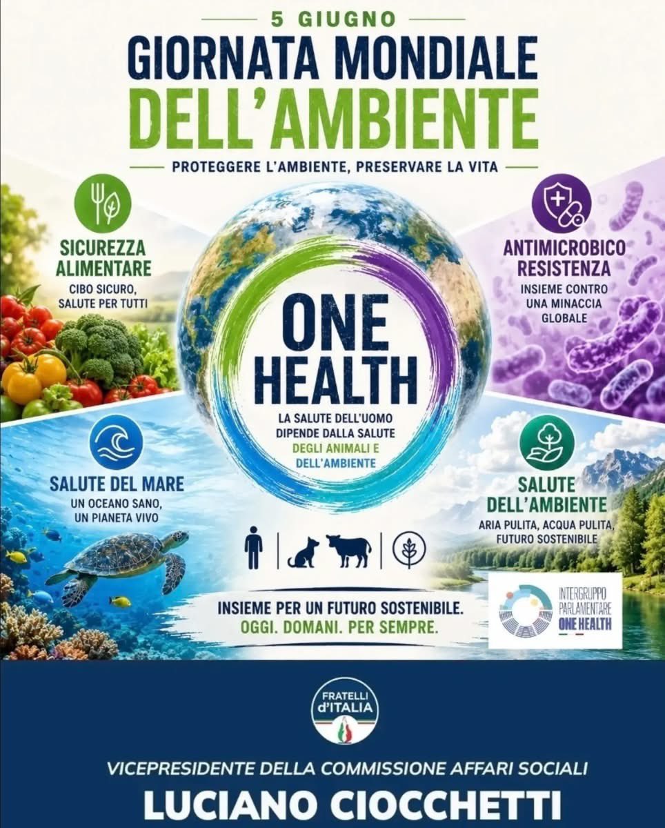LCiocchetti's tweet photo. 🌍 Giornata Mondiale dell'Ambiente
Proteggere l'ambiente significa proteggere la nostra salute, il nostro futuro e quello delle prossime generazioni.
Il principio di One Health, sul quale sto lavorando con convinzione in Parlamento, ci ricorda una verità fondamentale: la salute delle persone è strettamente legata alla salute degli animali e dell'ambiente in cui viviamo.
La qualità dell'aria che respiriamo, dell'acqua che beviamo, dei cibi che consumiamo e degli ecosistemi che ci circondano ha un impatto diretto sul benessere di tutti noi.
Per questo è necessario promuovere politiche che mettano al centro la prevenzione, la sostenibilità ambientale, la sicurezza alimentare e il contrasto alle nuove minacce sanitarie globali, come l'antimicrobico-resistenza.
In questa Giornata Mondiale dell'Ambiente rinnovo il mio impegno affinché il modello One Health diventi sempre più una guida concreta per le scelte delle istituzioni.
🌱 Perché tutelare l'ambiente significa tutelare la vita.
#GiornataMondialeDellAmbiente #OneHealth