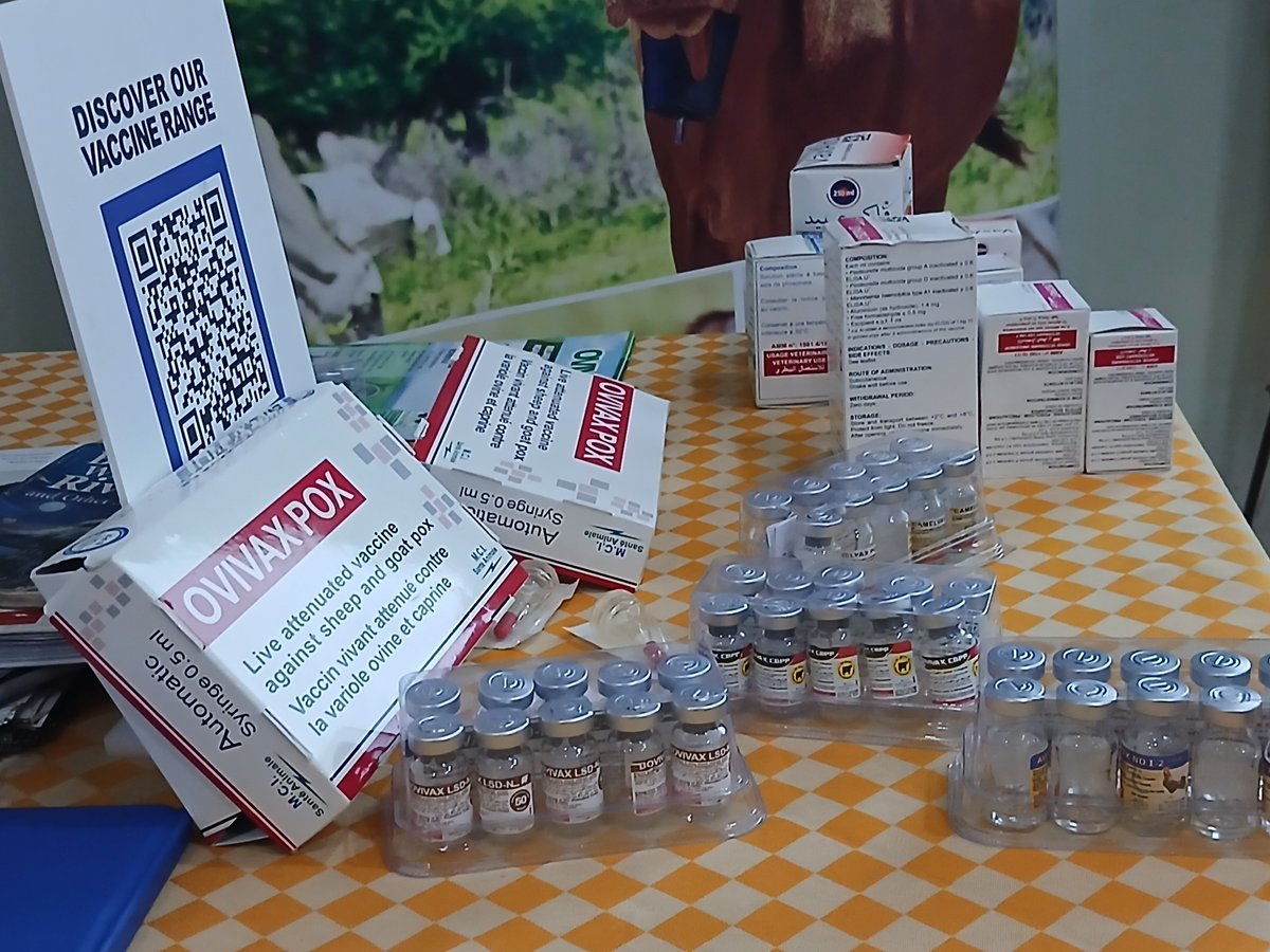 VeterinaryKenya's tweet photo. KVA &amp; KWVA trained Ngong agrovets on vaccine handling, priority diseases, farmer engagement and sustainable animal healthcare under the VITAL 2 Programme. @galvmed
#VITAL2 #KenyaVeterinaryAssociation #KenyaWomenVetAssociation #LivestockHealth #Agrovets #OneHealth https://t.co/wnuxPlqYV7