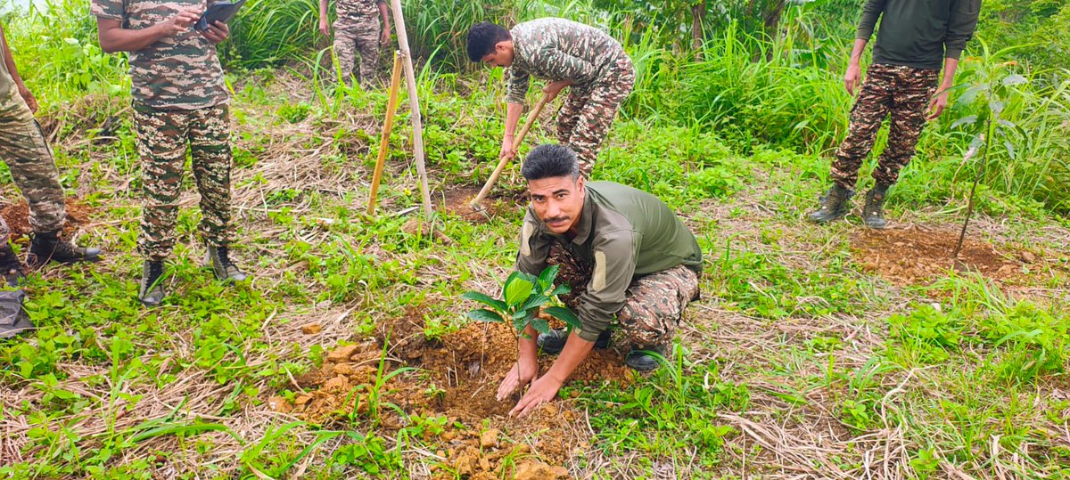 156Bn's tweet photo. A Tree Plantation Drive was successfully organized on the occasion of " WORLD ENVIRONMENT DAY" by 156 Bn CRPF in the area of Jiribam, Manipur. The event witnessed enthusiastic participation from unit personnel reflecting a shared commitment towards environmental conservation. https://t.co/Q6ydRayILj