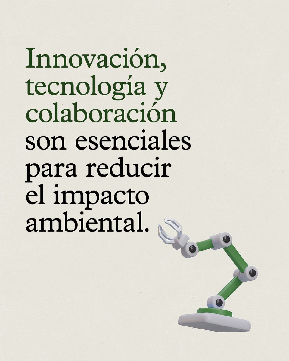 ANAIP_es's tweet photo. https://t.co/ZScTlokn31