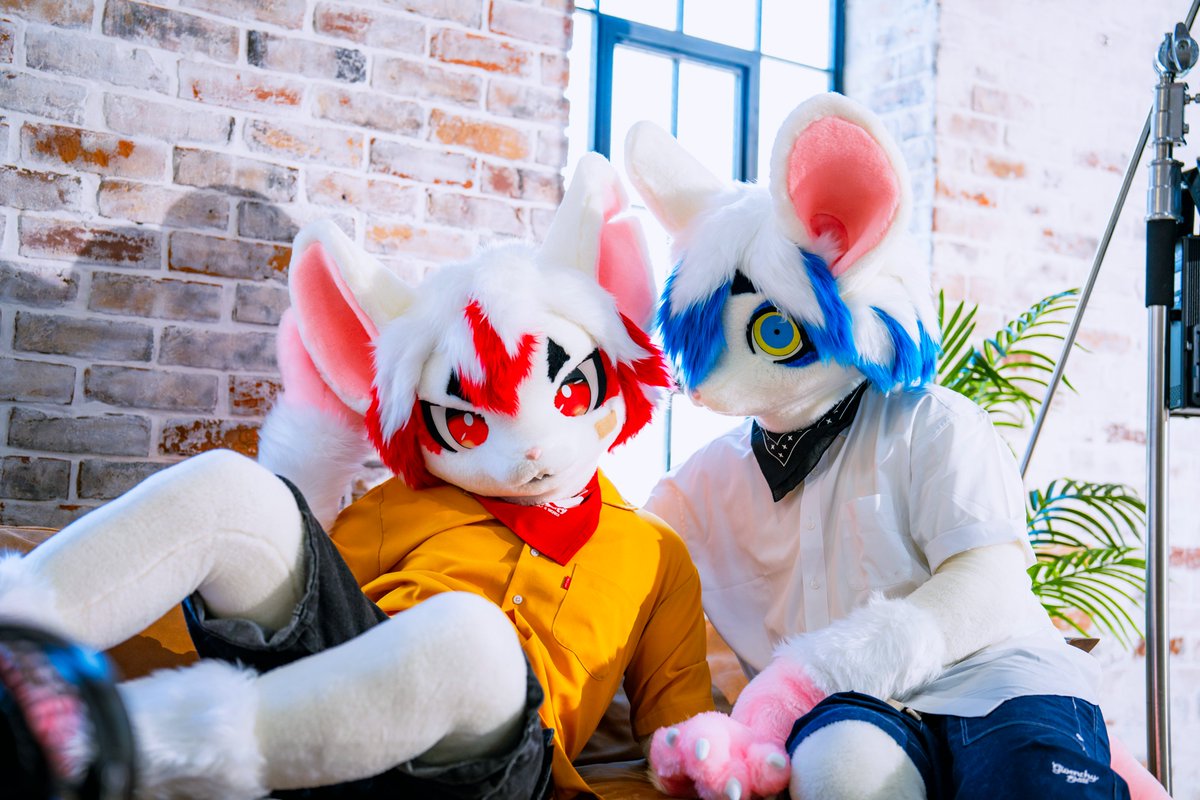 Morru_Motte's tweet photo. 🔴내 전용 침대야! 
🔵......

#Morru_Motte #FursuitFriday https://t.co/nnuUmWUE7V