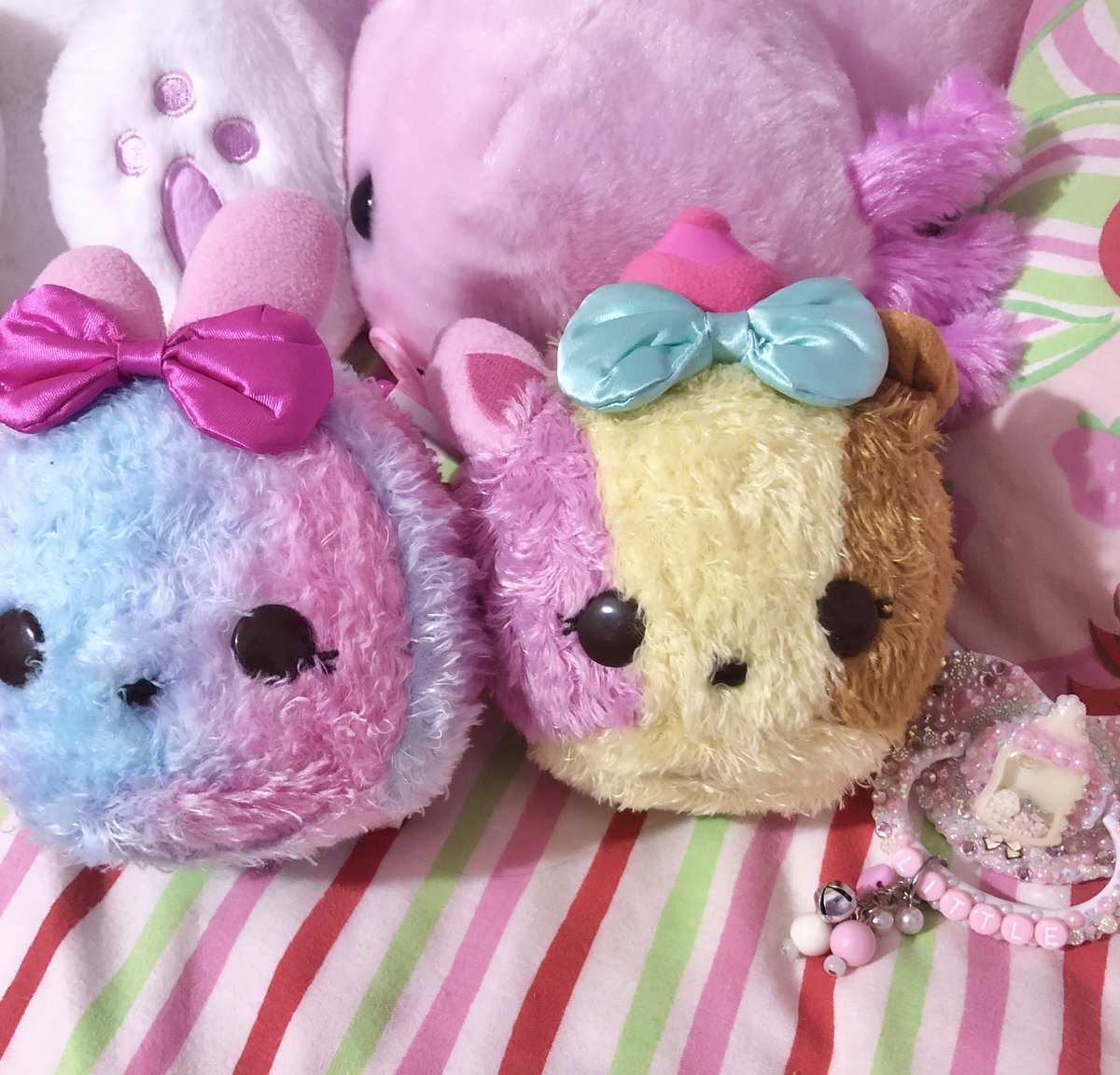 imcookiepup's tweet photo. https://t.co/smflTbIBoh