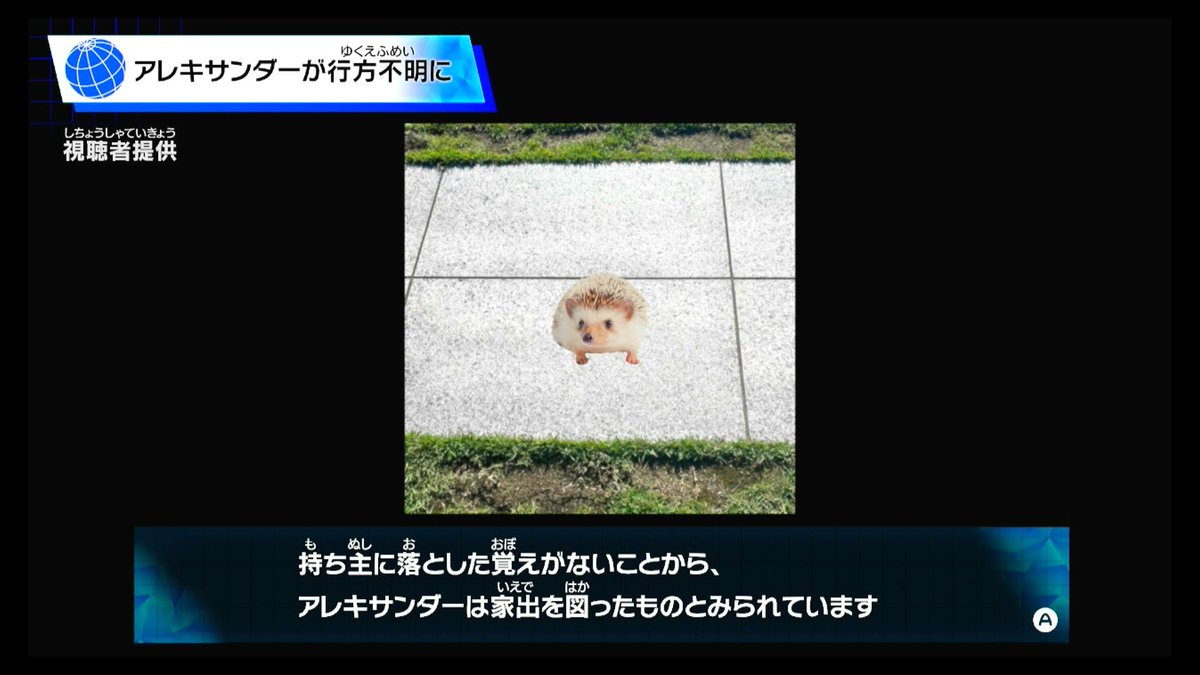 emya_bros's tweet photo. トモコレでも脱走した🦔 https://t.co/y8vo7i4fUa