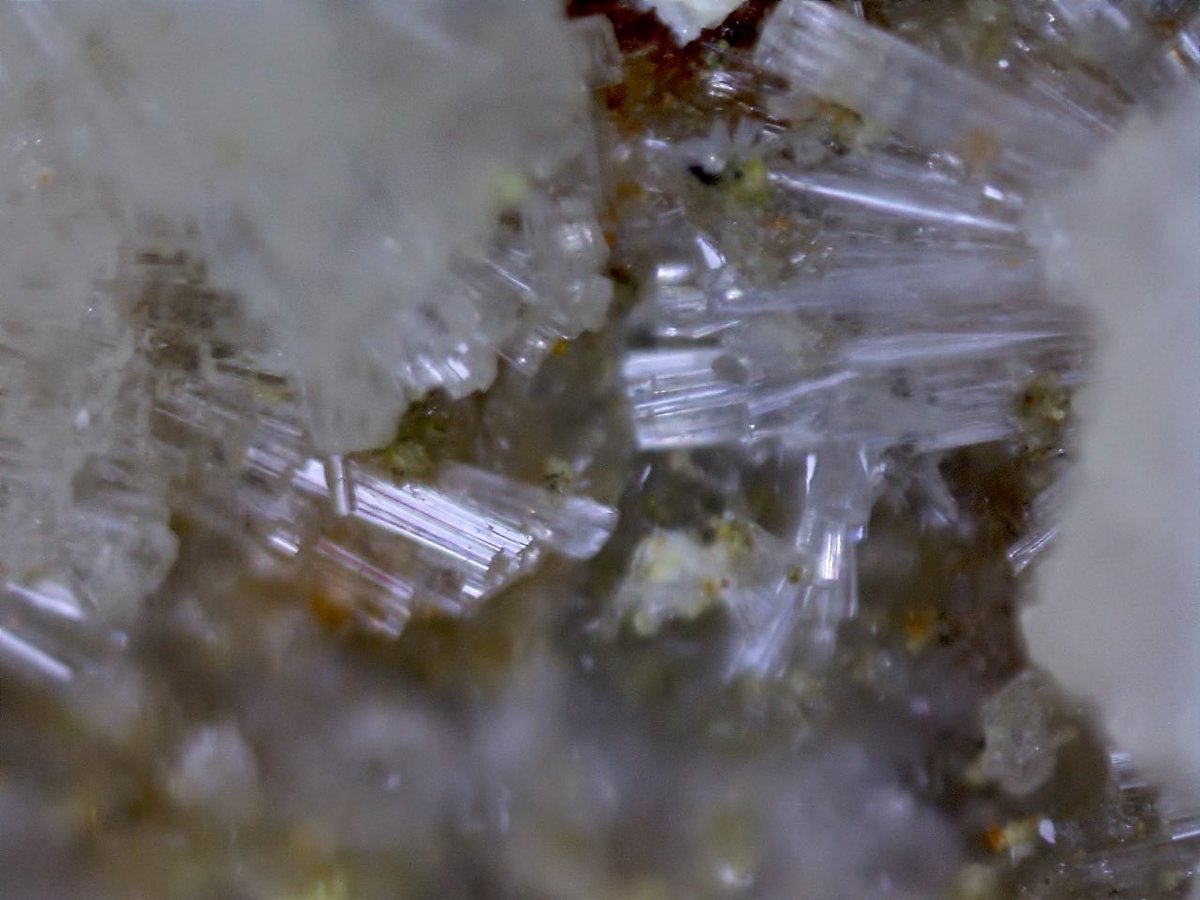 KolTolspmin's tweet photo. Dickthomssenite
Packrat Mine, Mesa County, Colorado, USA
1枚目FOV 2cm

淡い黄色の放射状結晶の本鉱が沢山伴う標本です。拡大すると標本の至る所で美しい結晶の集合を見ることができます。MgとVの酸化鉱物。コロラド州やユタ州に数ヶ所あるV鉱物の産地でのみ産出します。 https://t.co/CE4JnDCKRi
