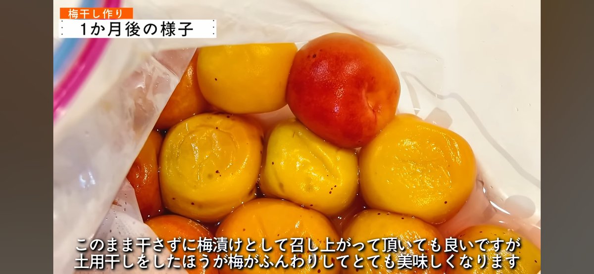 algernon1014's tweet photo. ちゃれんじ♪ https://t.co/CQN8d6BWab https://t.co/sMdKPfcYvt