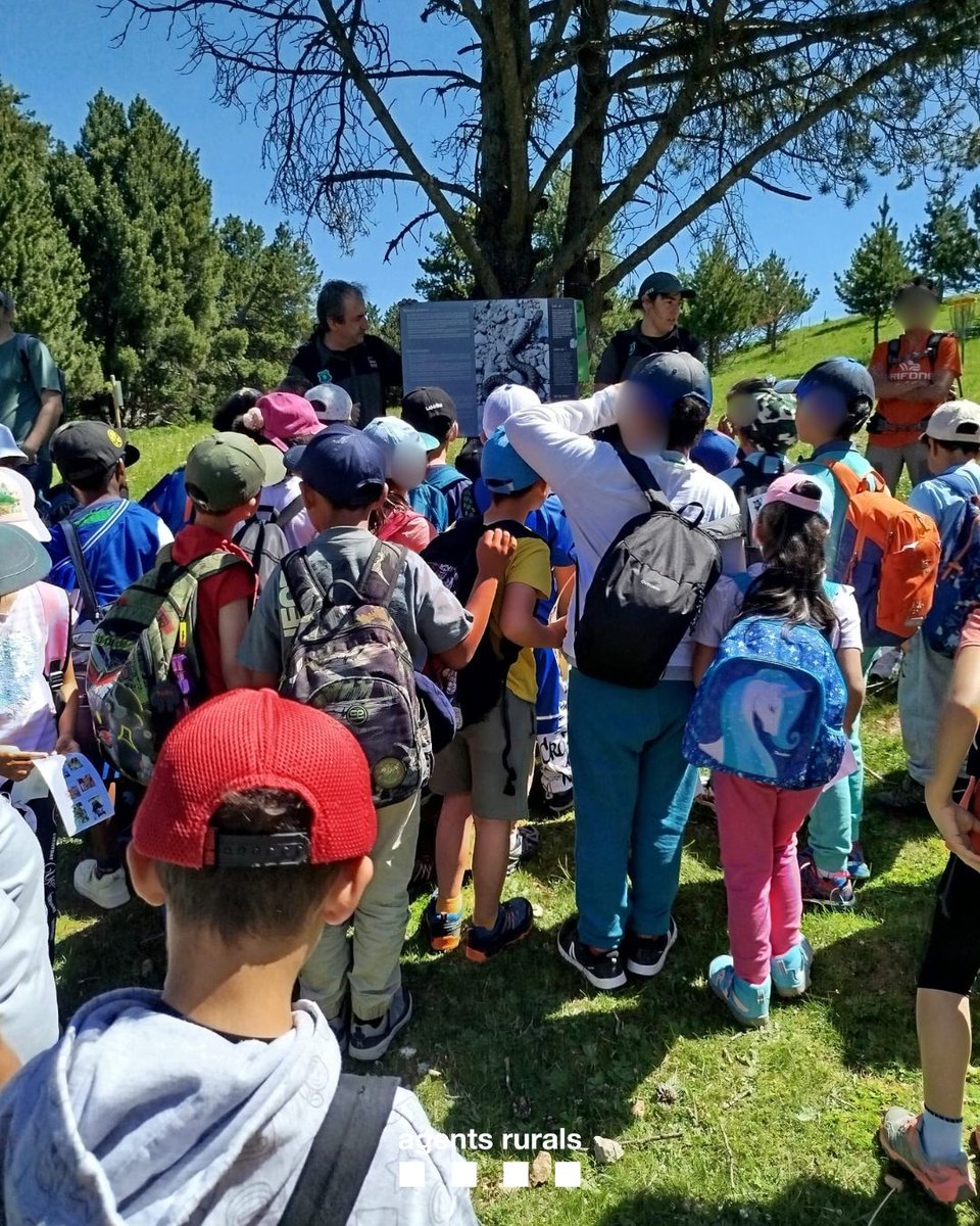 agentsruralscat's tweet photo. 📚 Noves activitats del programa #eduCAR:

🐶 Xerrada Cuidem en Bugui.
🦉 Alliberament d'un xoriguer a Montsià.
🦇 Xerrada: Fauna salvatge dins de Nucli urbà.
🌳 Descoberta de la fauna i flora de l'Estatge subalpí.
🌿 Xerrada: Què fem els #AgentsRurals? A Granollers. https://t.co/BYJVMRoG7B