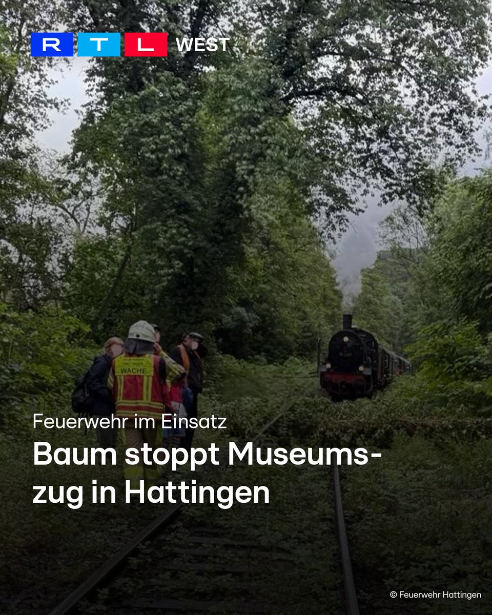 RTLWEST's tweet photo. Ein Museumszug hat in #Hattingen (Ennepe-Ruhr-Kreis) wegen eines umgestürzten Baums eine #Notbremsung einlegen müssen. Der Baum war am Donnerstagnachmittag (04.06.) auf die #Gleise gestürzt. Der Zug kam rechtzeitig vor dem Hindernis zum Stehen. Verletzt wurde niemand. Die #Feuerwehr rückte an und zersägte den #Baum. Nach rund einer Stunde waren die Gleise wieder frei. Der Museumszug konnte seine Fahrt anschließend fortsetzen.