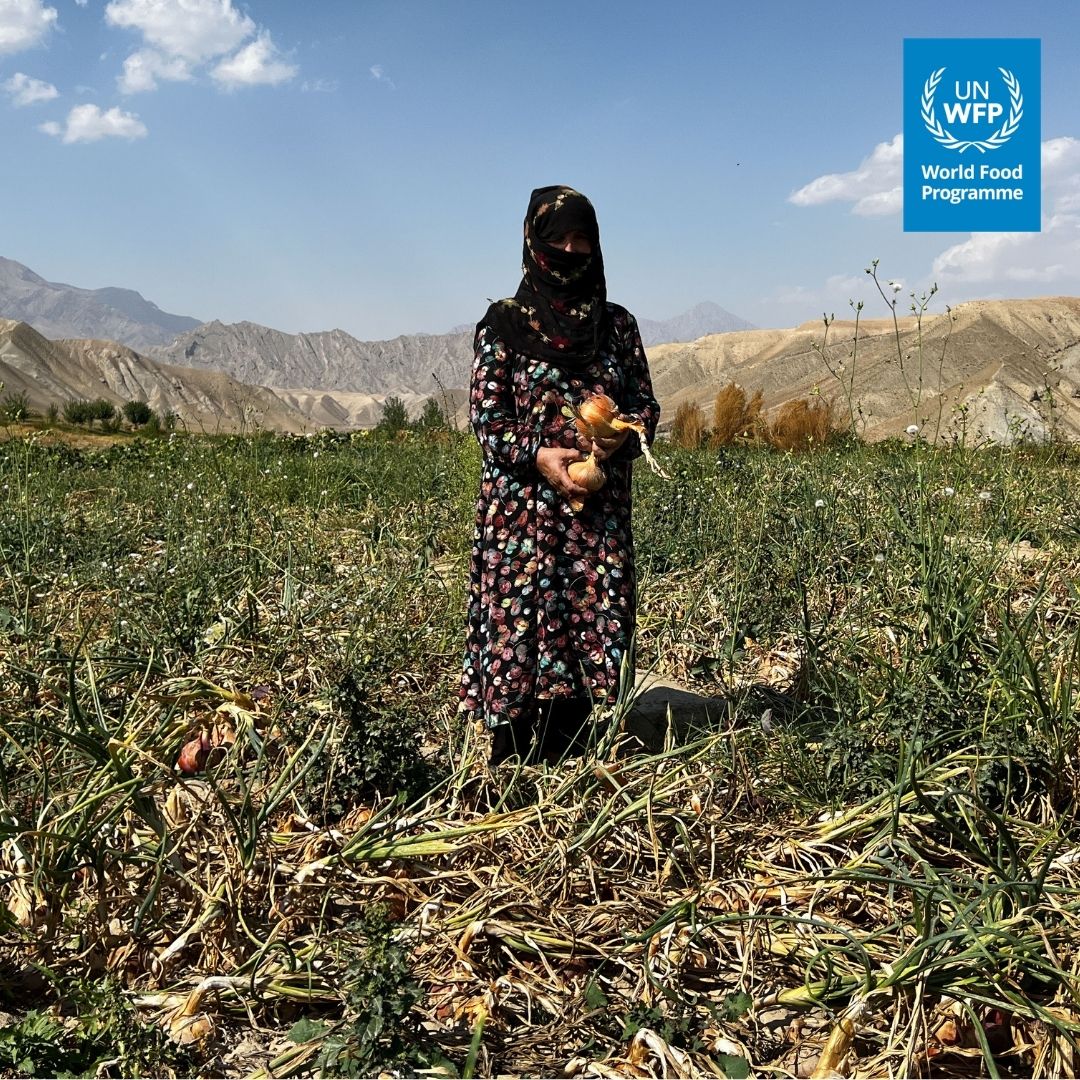 WFP_Afghanistan's tweet photo. #WorldEnvironmentDay

Since 2021, WFP in #Afghanistan has built nearly 100 walls protecting communities from floods, 1,400 water canals and nearly 100 water reservoirs — helping safeguard thousands of families from environmental shocks while improving food production and livelihoods.