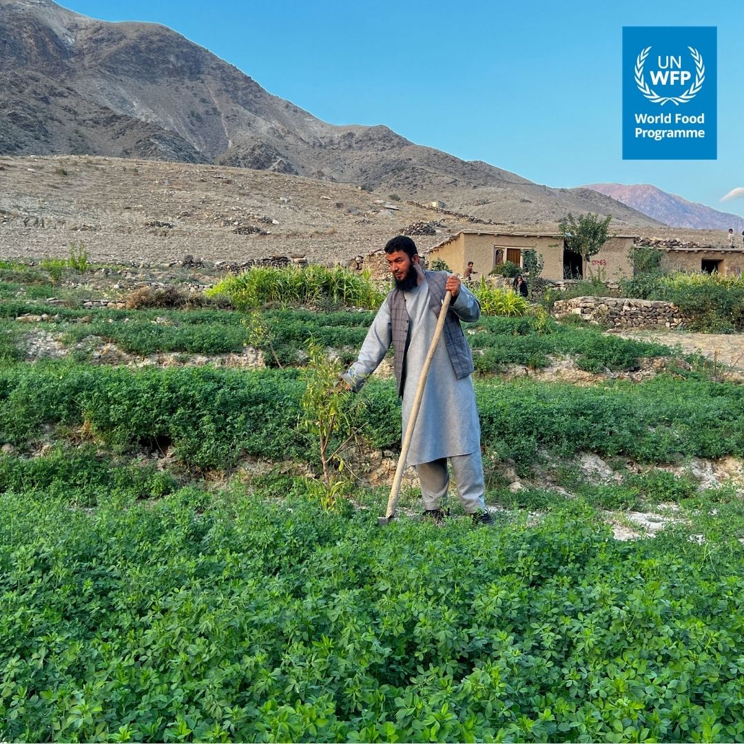 WFP_Afghanistan's tweet photo. #WorldEnvironmentDay

Since 2021, WFP in #Afghanistan has built nearly 100 walls protecting communities from floods, 1,400 water canals and nearly 100 water reservoirs — helping safeguard thousands of families from environmental shocks while improving food production and livelihoods.