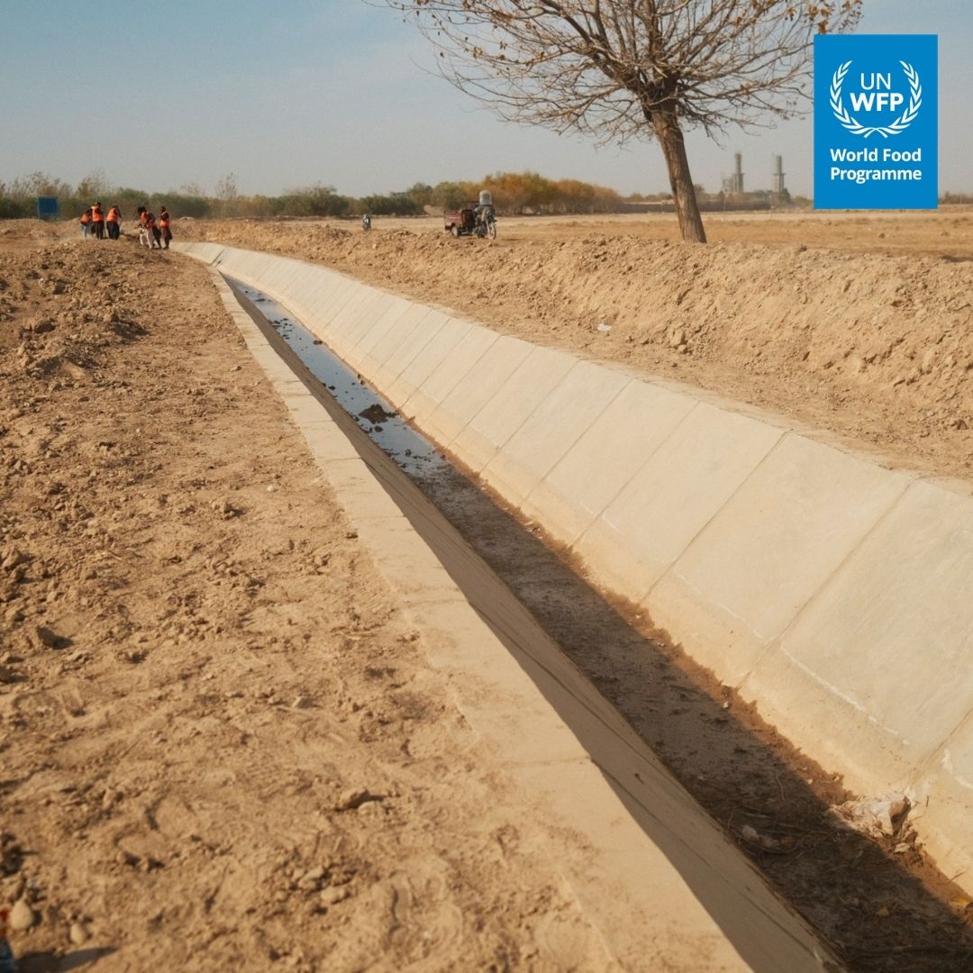 WFP_Afghanistan's tweet photo. #WorldEnvironmentDay

Since 2021, WFP in #Afghanistan has built nearly 100 walls protecting communities from floods, 1,400 water canals and nearly 100 water reservoirs — helping safeguard thousands of families from environmental shocks while improving food production and livelihoods.