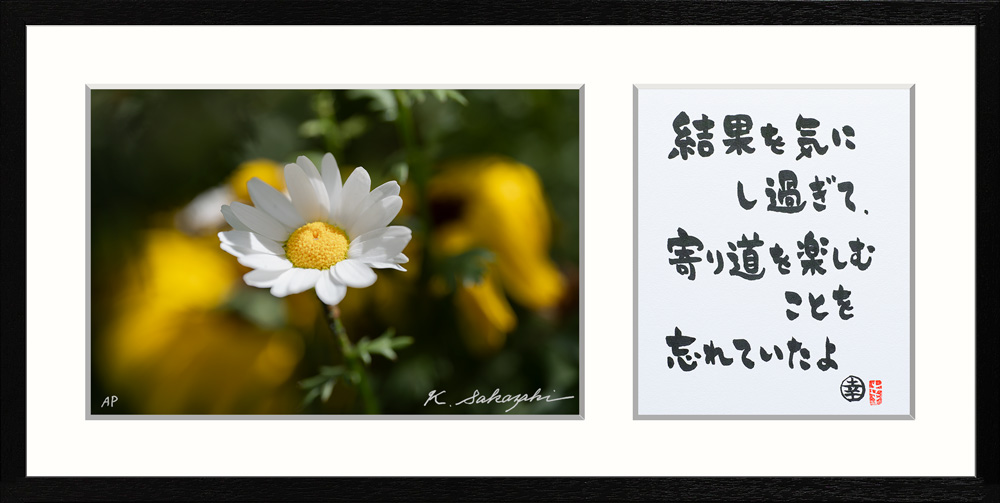 IslandGallery's tweet photo. ◆6/14[日]21時まで 坂崎幸之助 書写真展『愛でる視線』オンラインギャラリー◆

坂崎幸之助さんの書写真展オンラインギャラリーは【 6/14[日]21時まで 】ご利用いただけます。ぜひごゆっくりご覧いただけますと幸いです。

東京・大阪での全作品を一冊にまとめた展覧会カタログは、受注生産のため再販はございません。ぜひこの機会にご予約いただけますと幸いです。

画像は、何気なく咲く花を慈しんだり楽しむ気持ちを思い出させてくれる書写真です。

▼ご紹介作品はこちら
https://t.co/rTIDeSP7Mm

▼Main Theme 愛でる視線 / A4+書
https://t.co/1eFDJIjcPC

▼Main Theme 愛でる視線 / A2+書
https://t.co/ghsNVqssVL

▼Sub Theme あの素晴らしい島をもう一度 / A5+書
https://t.co/FOPicmNDMW

※作品のお届け時期は2026年9月下旬以降を予定しております。

▼展覧会カタログ
https://t.co/JVqMUDeTRK

A5横版 / 68ページ
作品収録数 / 52点
通常版　2,900円(税込)
豪華版　6,100円(税込) ※通常版＋2Lサイズの特典フォト2枚付き
送　料　250円(税込)
メール便でのお届けのため、作品との同梱は出来ません。
2026年7月下旬以降のお届けを予定しております。

▼トーク・イベントのお知らせ
写真展『水彩画の都市』の会場もしくはオンラインギャラリーにて、作品を【6万円以上(税別)】ご購入いただいた方の中から抽選で、坂崎幸之助さんのトークイベントへご招待いたします。開催日等、詳細は決まり次第お知らせいたします。

※当サイトのご利用にあたって、内容、テキスト、作品、作家ポートレート等の画像は一切の転載・使用を禁止いたします。
特に画像に関して、SNSでの投稿やアイコンとしての利用等、絶対におやめください。

#坂崎幸之助 #alfee