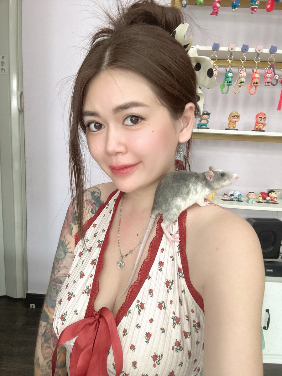 tashia78780's tweet photo. 看我家鼠鼠❤️❤️❤️ https://t.co/pqiay015SY