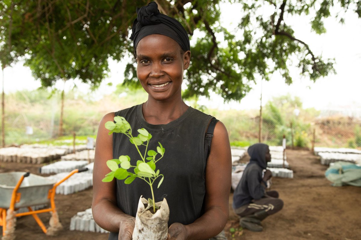 FAOSouthSudan's tweet photo. Earth speaks through rising heat &amp; shifting rains.

With donor support, FAO is working with communities to restore forests, strengthen climate resilience, &amp; conserve biodiversity 🌳

We must act #NowForClimate &amp; for #GenerationRestoration.

Happy #WorldEnvironmentDay 2026 💚 https://t.co/DjOPjRkszQ