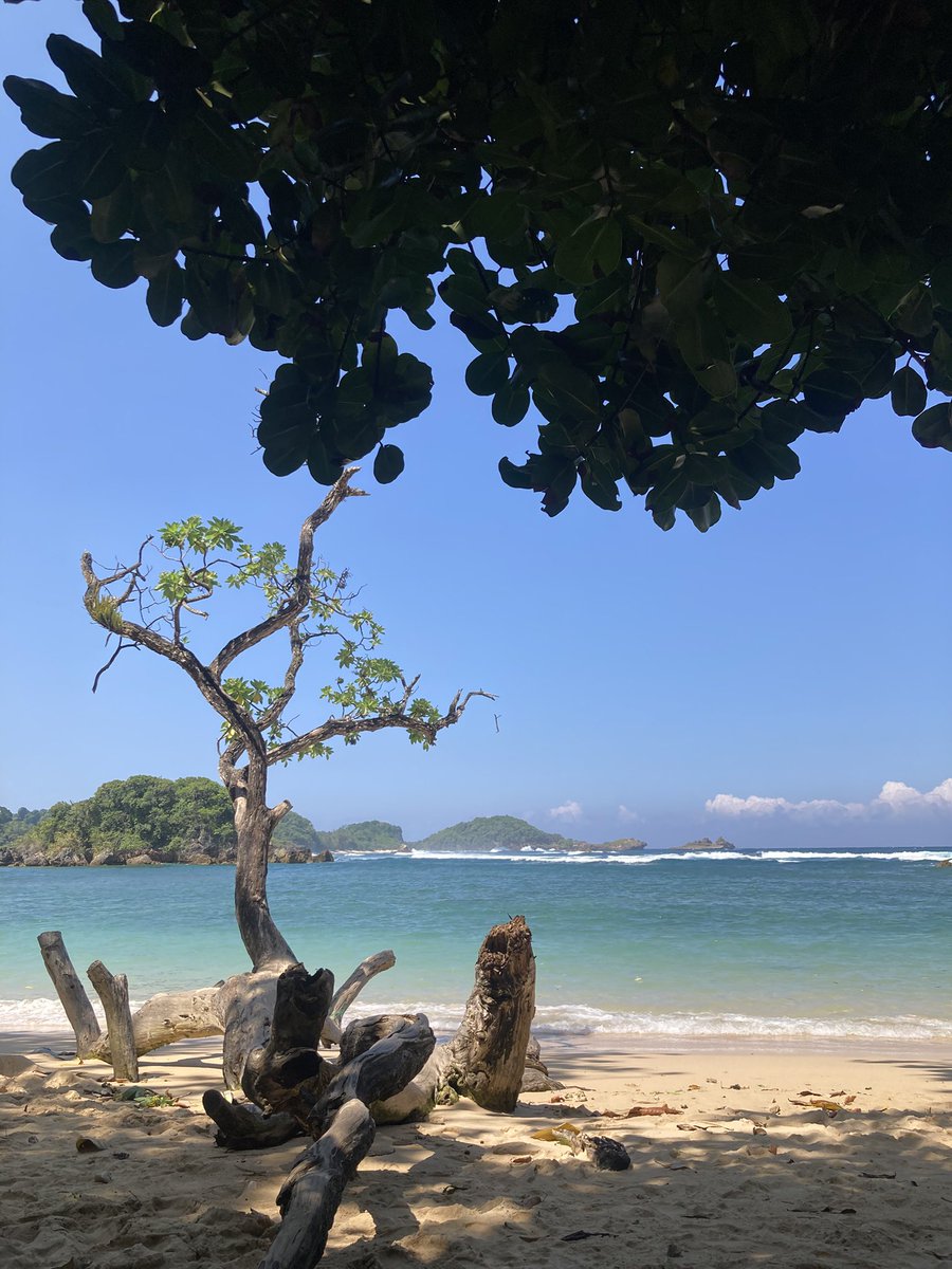 snuggleloop's tweet photo. main ke pantai lagiiii, bareng sama temen-temen gym. 🌊🌊 https://t.co/U7Rp9CYG59
