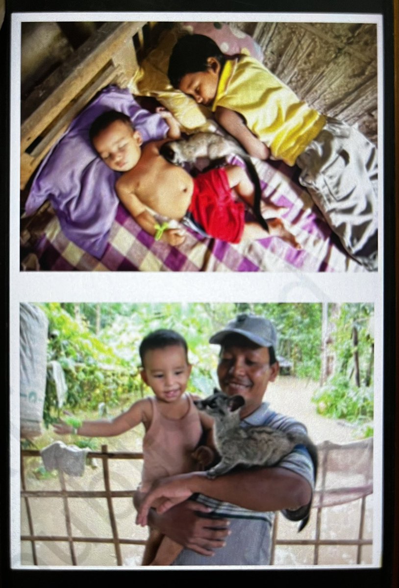 mrinaltalukdar8's tweet photo. Remember Dharani and Anjali Saikia of Kampur? Years ago, they rescued an orphaned newborn civet. With her own baby just four months old, Anjali breastfed the civet and saved its life.

Today, their remarkable story is part of a CBSE textbook. Met them today. Take a bow. https://t.co/70wkD2yFsG