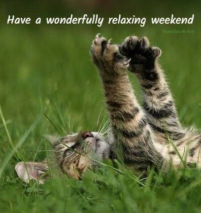 KeithBache's tweet photo. #FF and wishing all an awesome weekend. Keep safe. @ianrkenilworth @folkandroots  @frtheWhiteHouse @JenTakeTwo @Elaria_Draconox @CreateTheRipple @Kirsty_Louise04 @John66Gillespie @aiok1 @TonyMendes13 🙂 https://t.co/hhDbDzcwzm