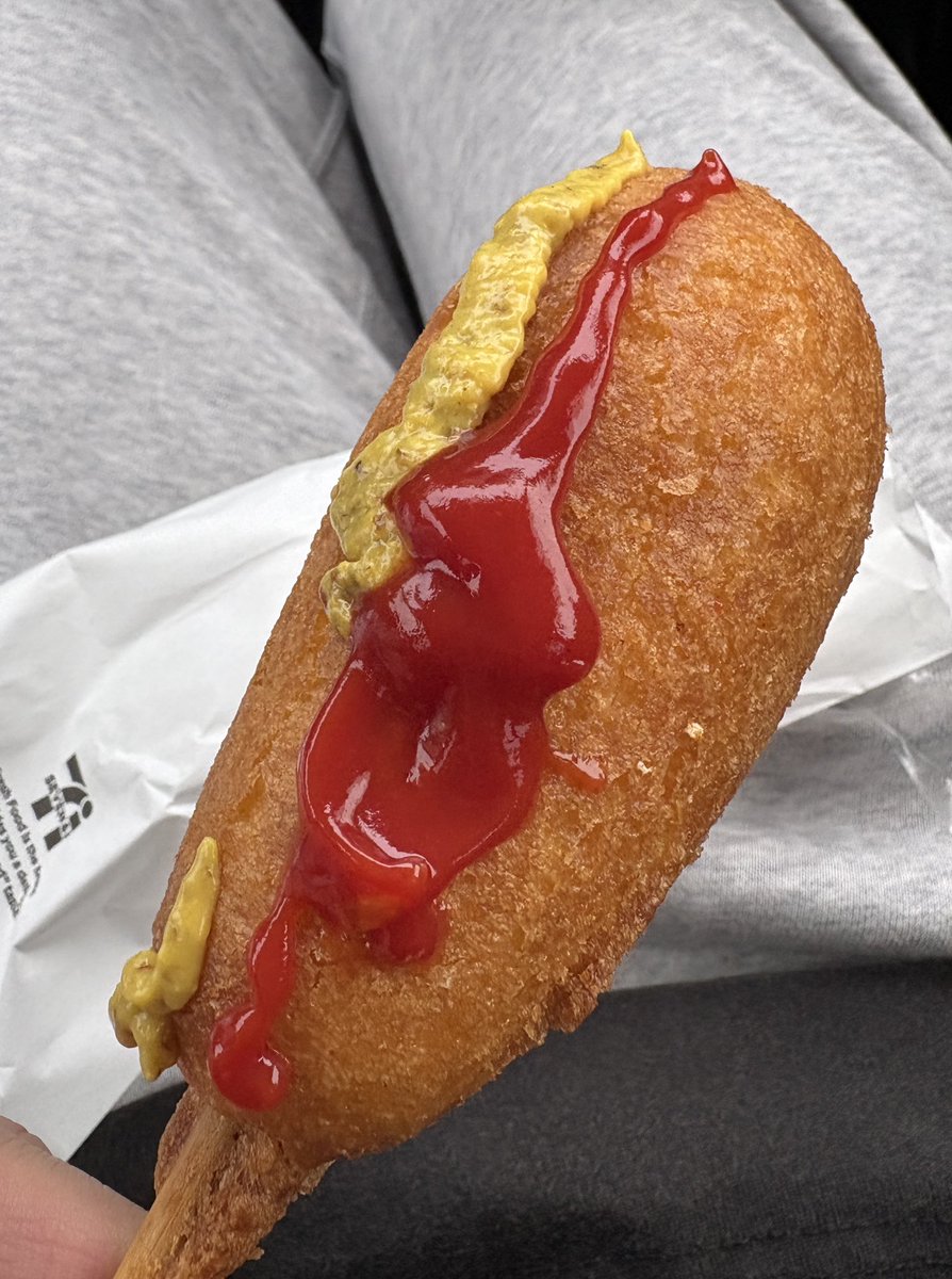 メタボな黃トラさんとダックスのカップル、揚げものが好き！ セブンの揚げ物半額セールでレジが大混雑。 そんな中、公共料金を