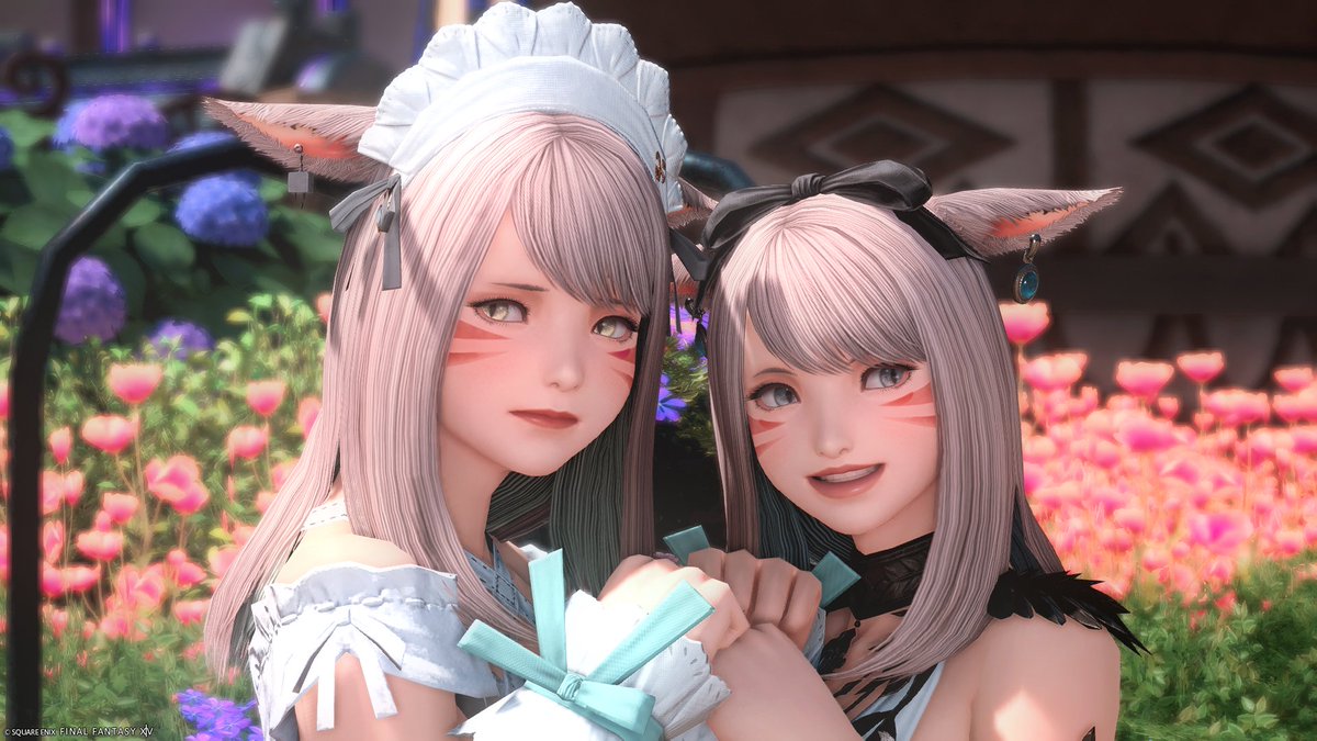 LitaPeta's tweet photo. しあちゃんとSS部！！！
ミコッテ最高品質🤍🤍 https://t.co/kPNp0WG6s8