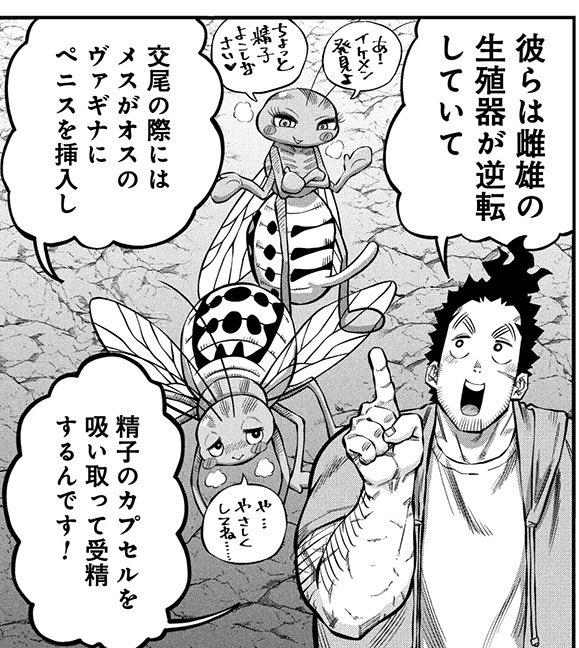 akiramashima626's tweet photo. お読みいただきありがとうございます！
『子宝さんのオトナな動物図鑑』　8話②
ただいま無料公開中です‼️

本日更新された最新話　9話① では
知る人ぞ知る　唯一無二の魅力を持つ昆虫
「トリカヘチャタテ」が登場します！
是非ご覧ください！ https://t.co/KbhuYSrG9v