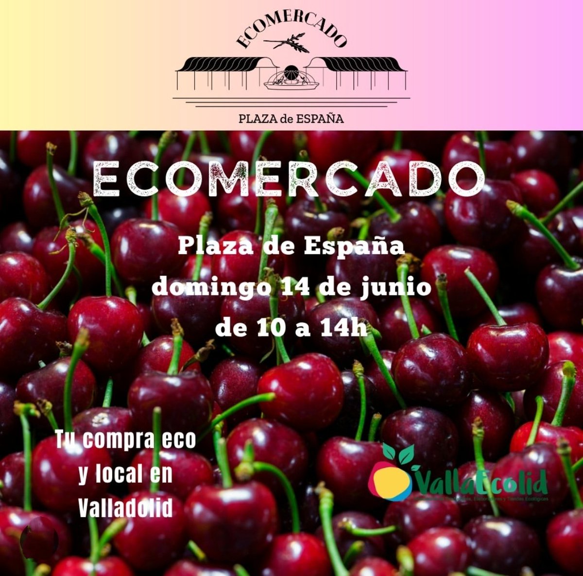 AuvasaVLL's tweet photo. 📢 Acude a disfrutar de tus compras en el #EcoMercado 👉 #MejorEnBUS 🚌
📌 #PlazaEspaña
⏰ Hoy de 10:00 a 14:00 horas
🚍 Líneas con paradas cercana: 1, 2, 3, 4, 6, 7, 8, 9, 18 y 19 https://t.co/HJehAE5nqe
