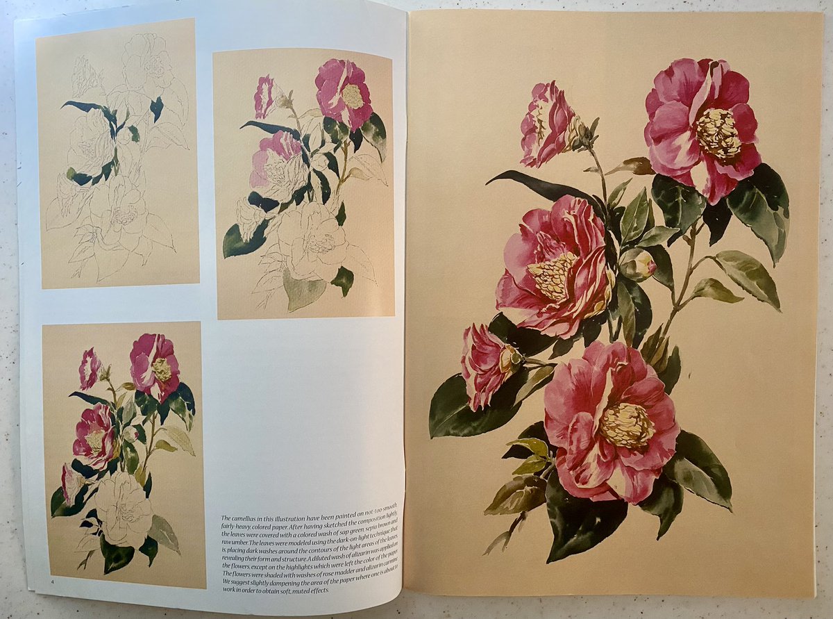 thereaIII's tweet photo. Flowers, Leonardo Collection https://t.co/EDWOnRgeEG
