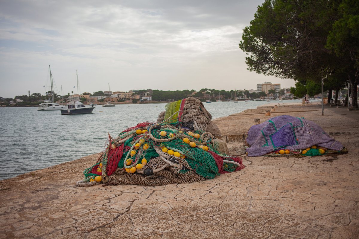 GALPMallorca's tweet photo. 📣 Últims dies per presentar projectes sostenibles, innovadors i amb impacte local al sector marí i pesquer!

⏳ Fins al 30 de juny de 2026 a la 3a convocatòria d’ajudes del GALP Mallorca (FEMPA 2021-2027)

Més info: https://t.co/iTngplpRKe https://t.co/mWe6SW46dY