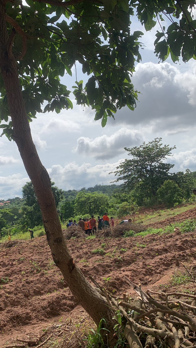 desnothecreator's tweet photo. School:Auchi Polytechnic course:Agriculturists https://t.co/6gC5uBaek2